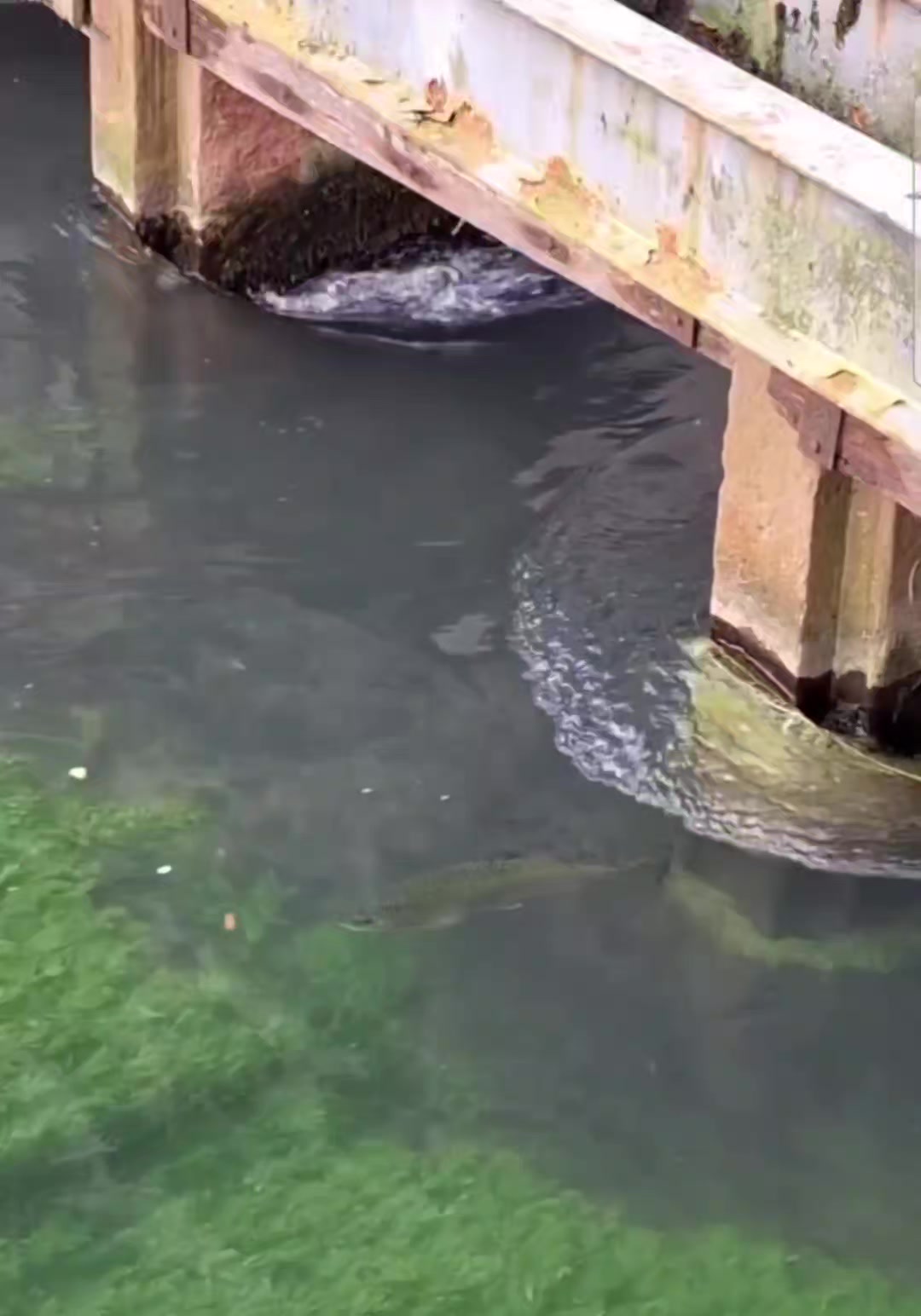 @fishing