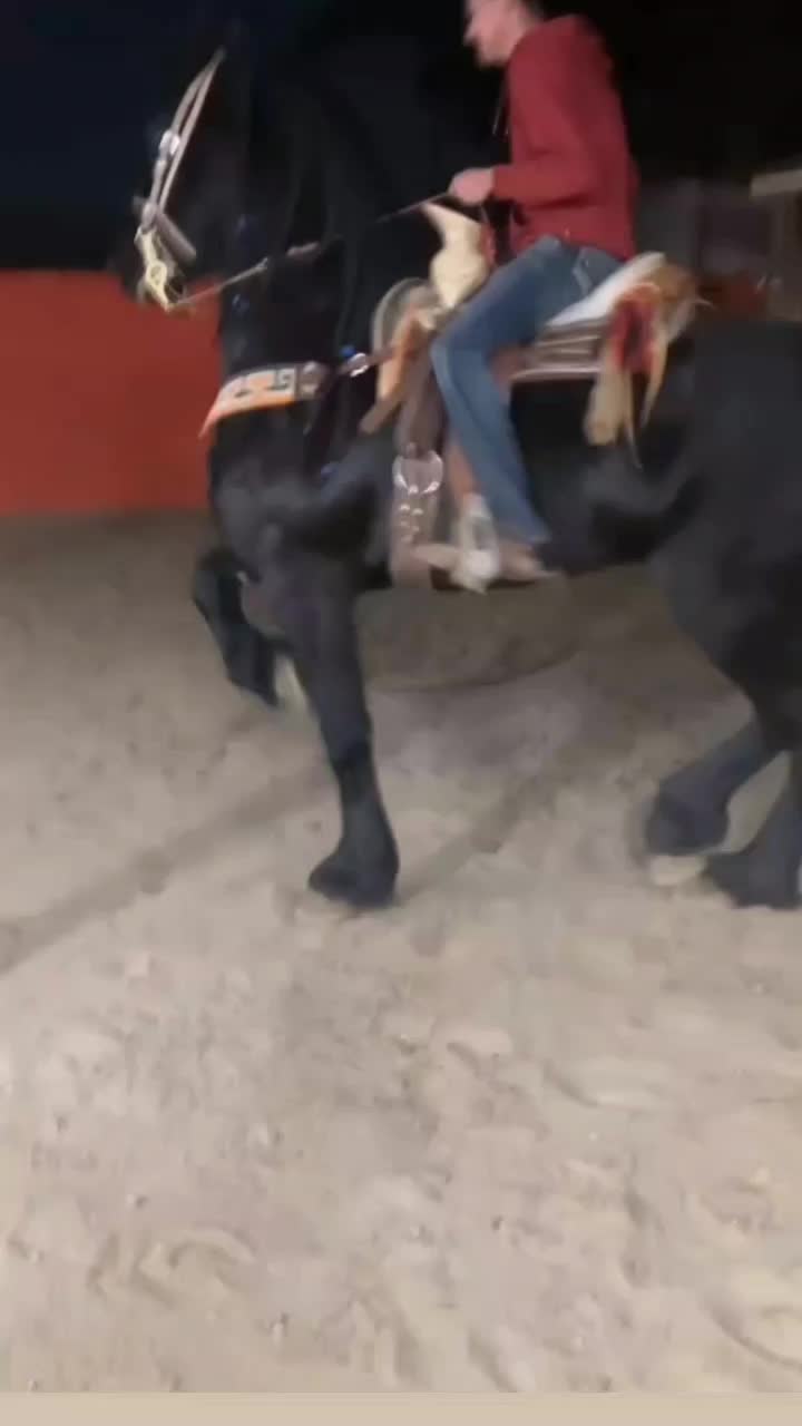@yahirtorres6781