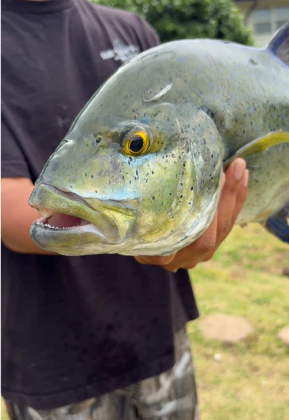 @fishmason
