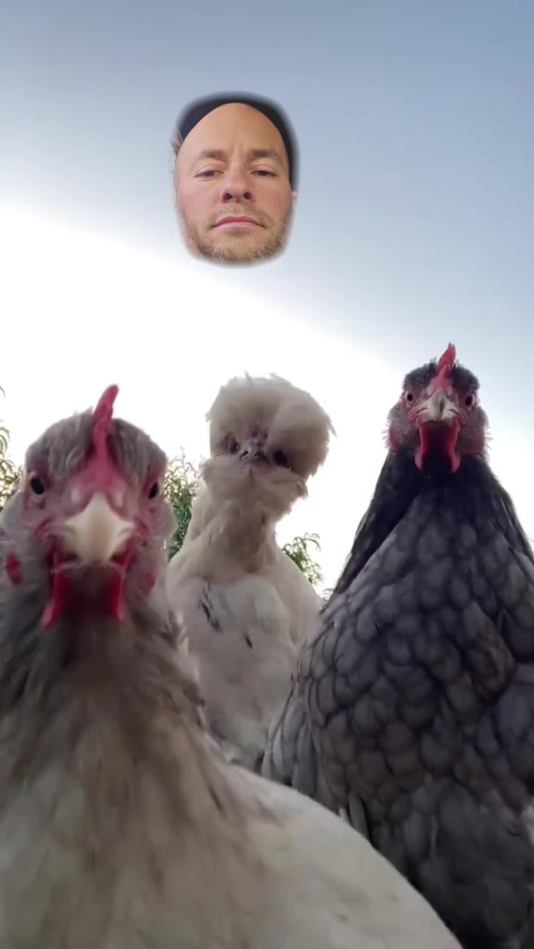 @Beanbagjohnny