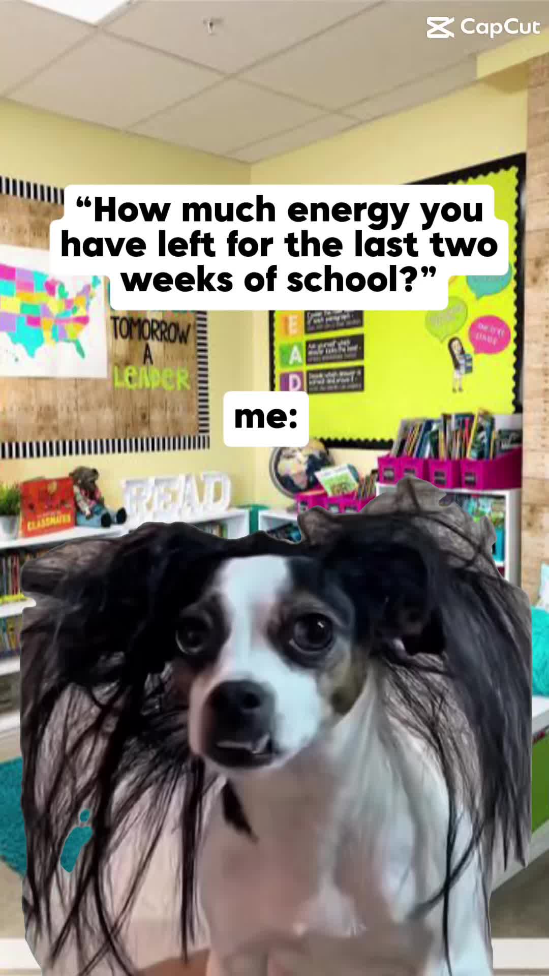 @maygen 🖤