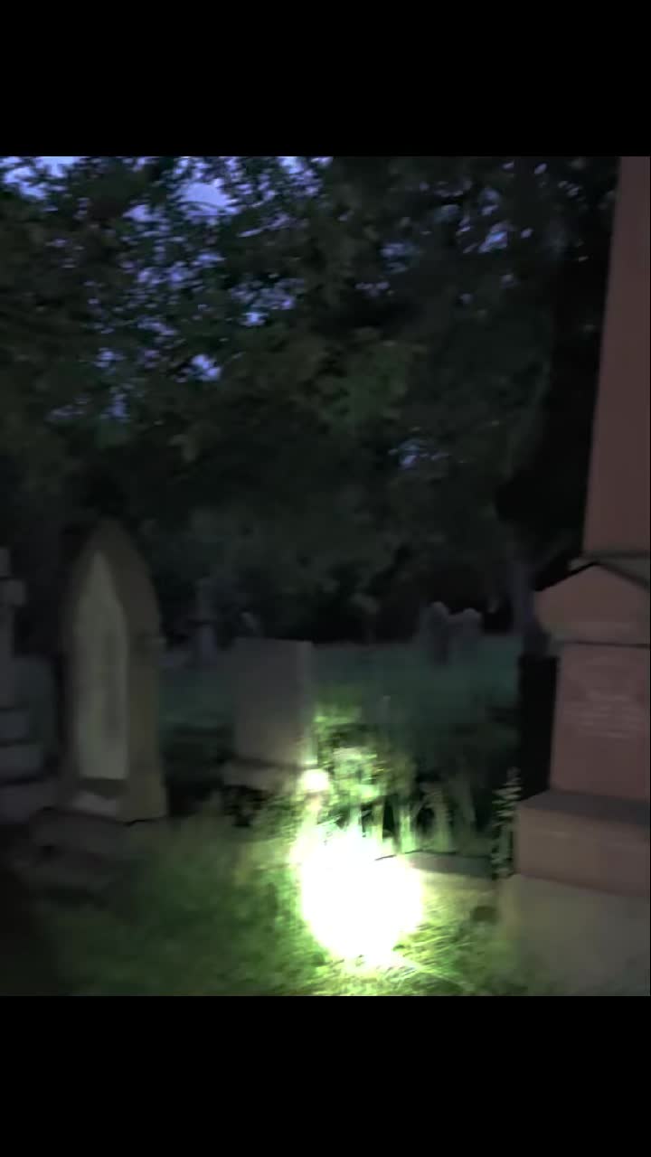 @GraveSnape🪦