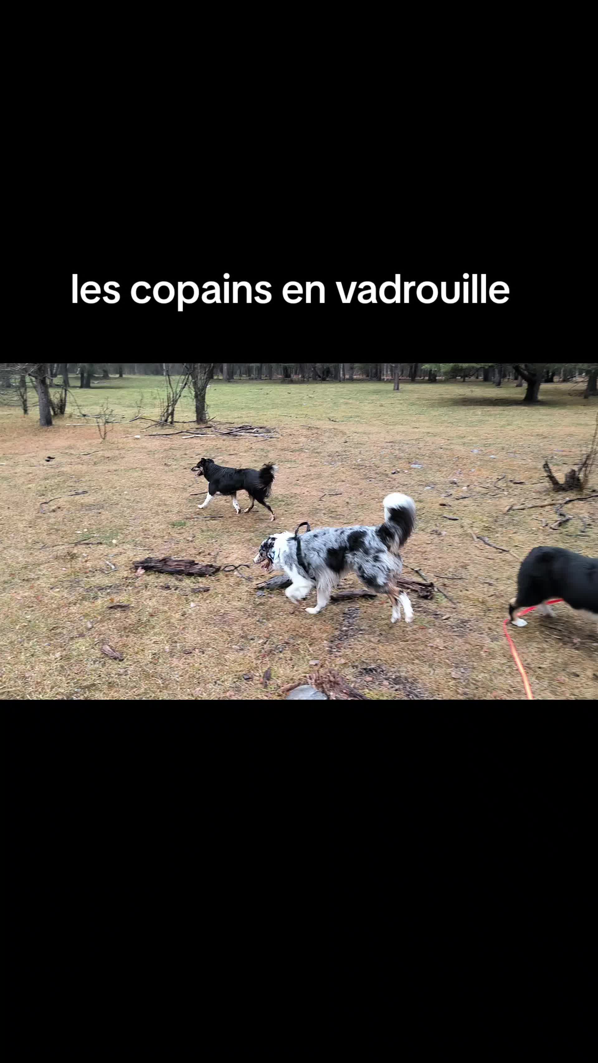 @tonton gégé