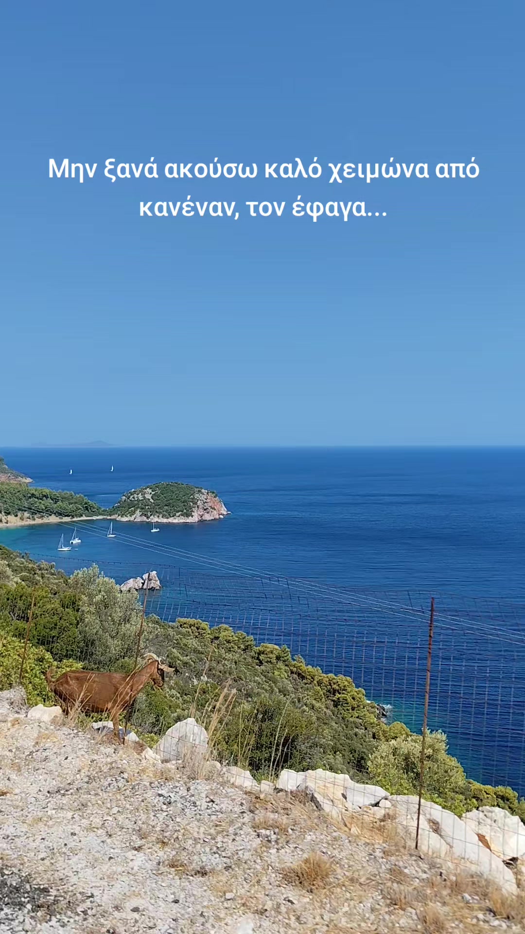 @Κατερίνα Καζεπίδου