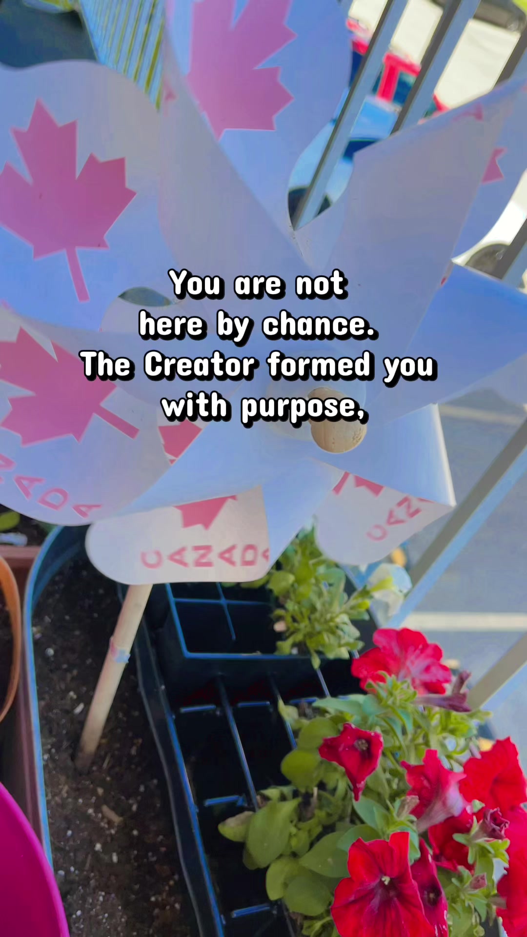 @HOPE