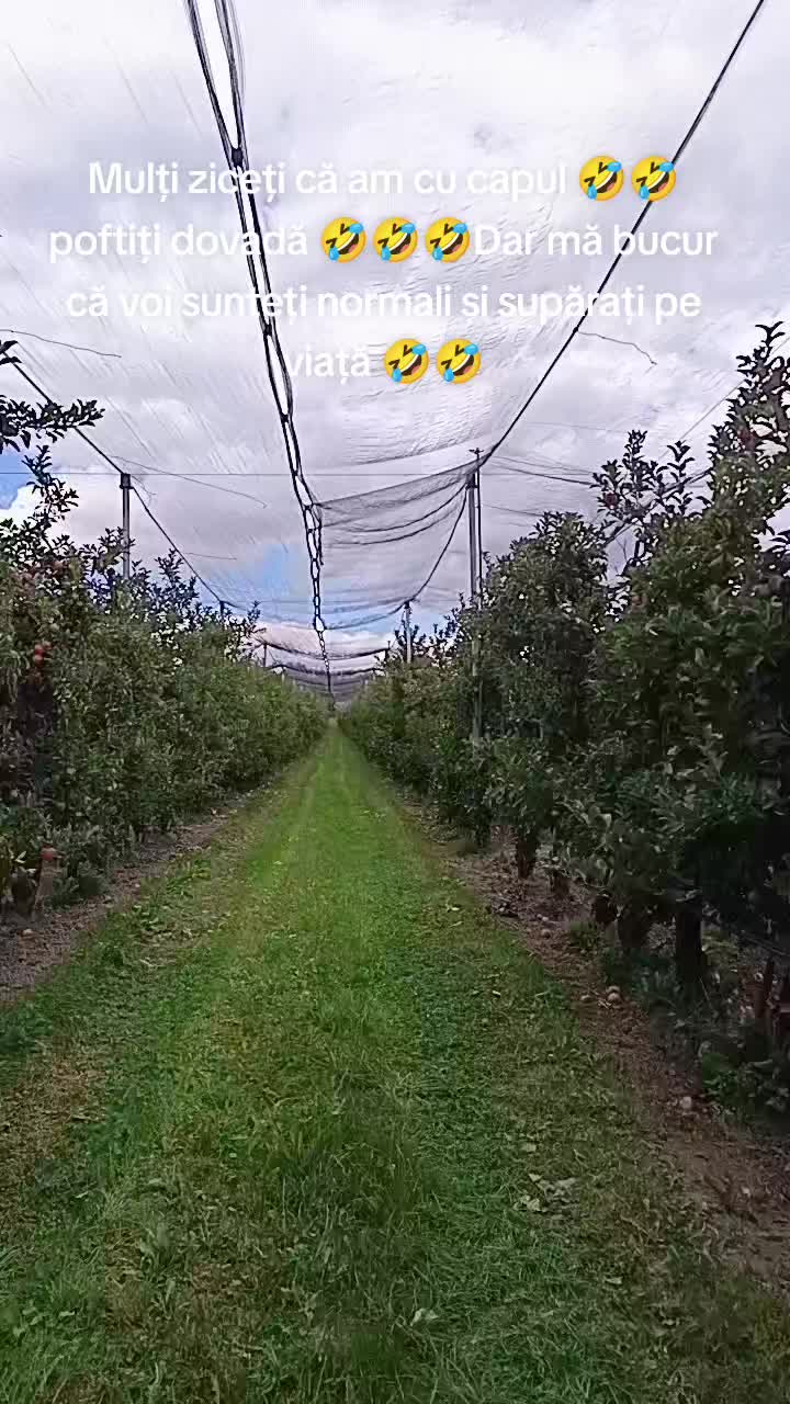 @Ciotârcă Ovidiu!