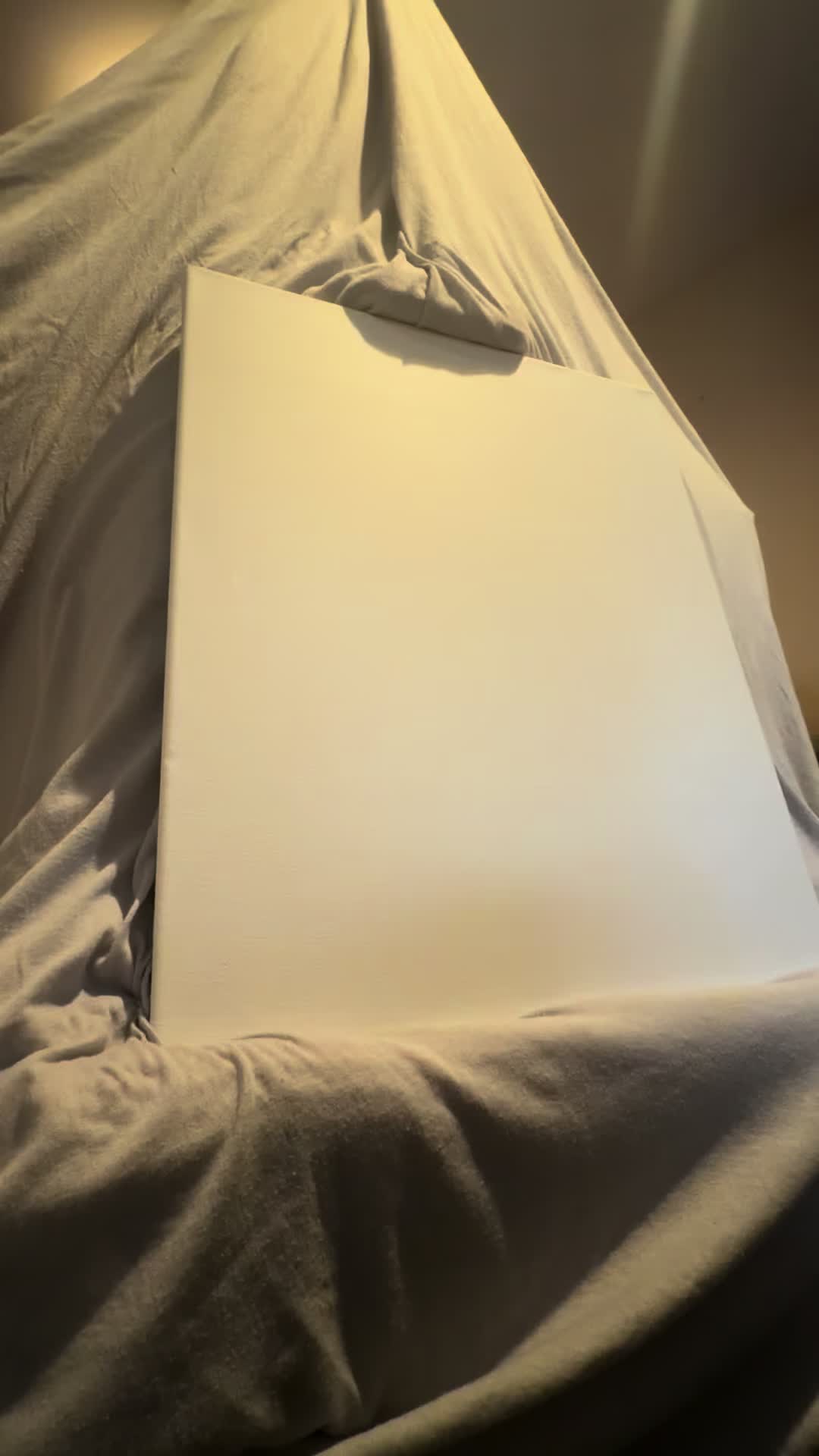 @carmillasframedvortex