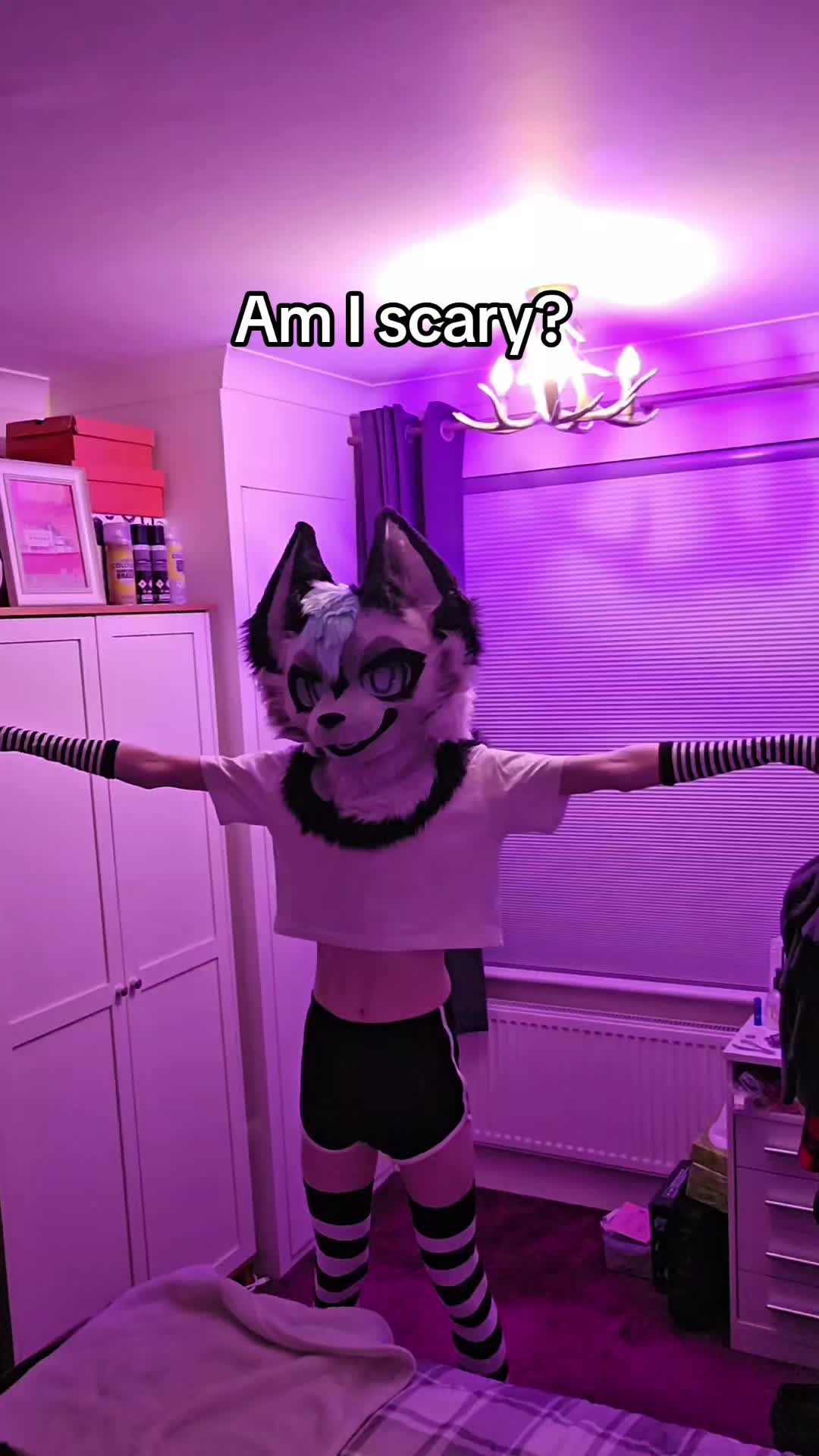 @Maishu Foxx