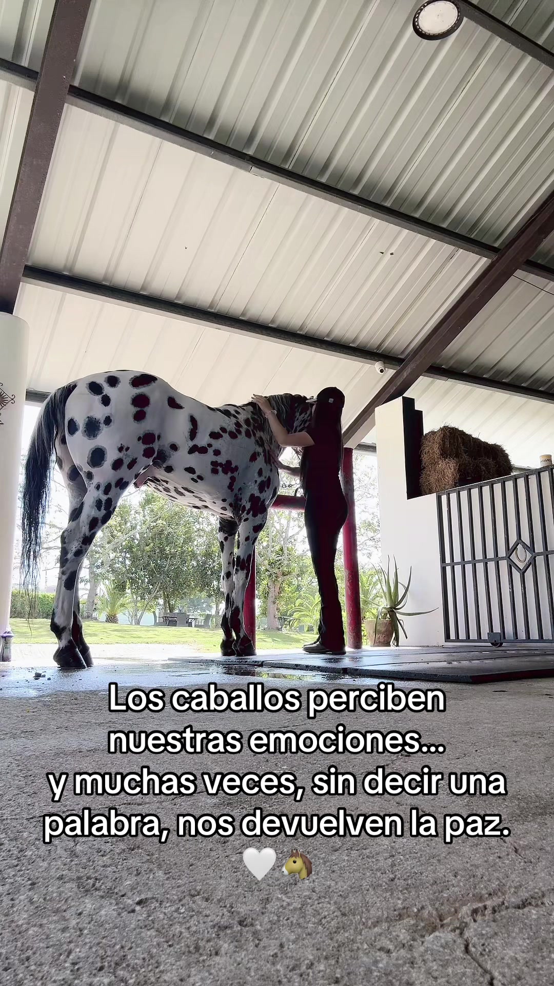 @Hacienda Do&ntilde;a Ana