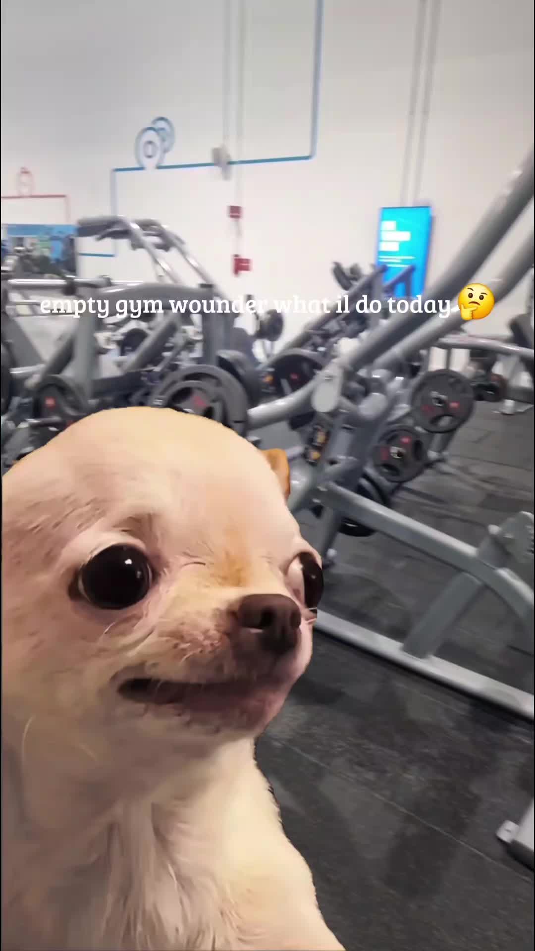 @sam