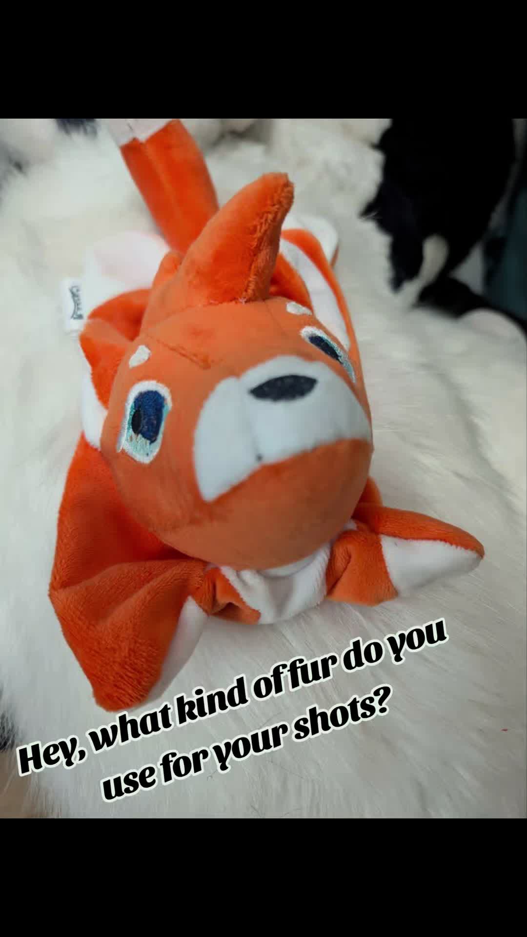 @KITJUNE