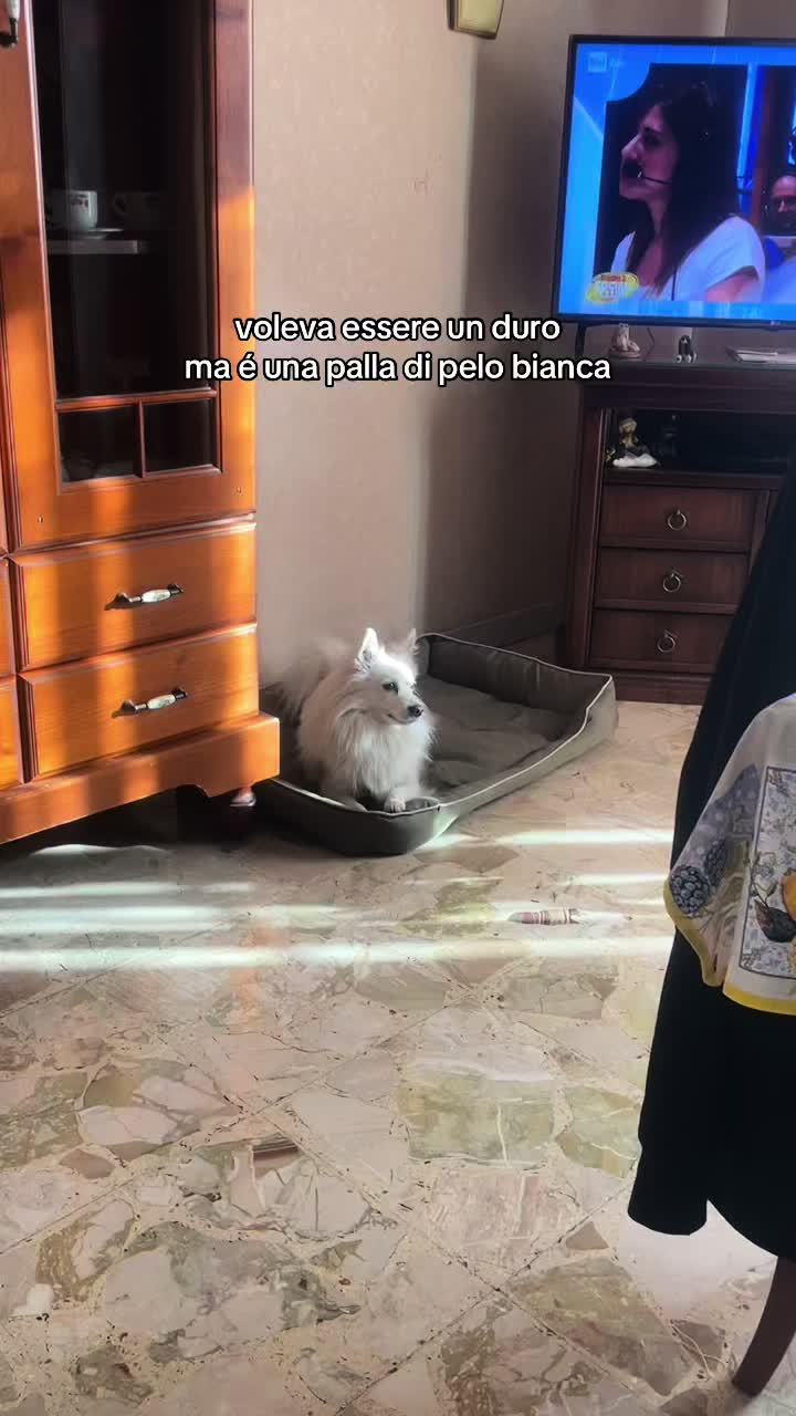 @auroraasciacca