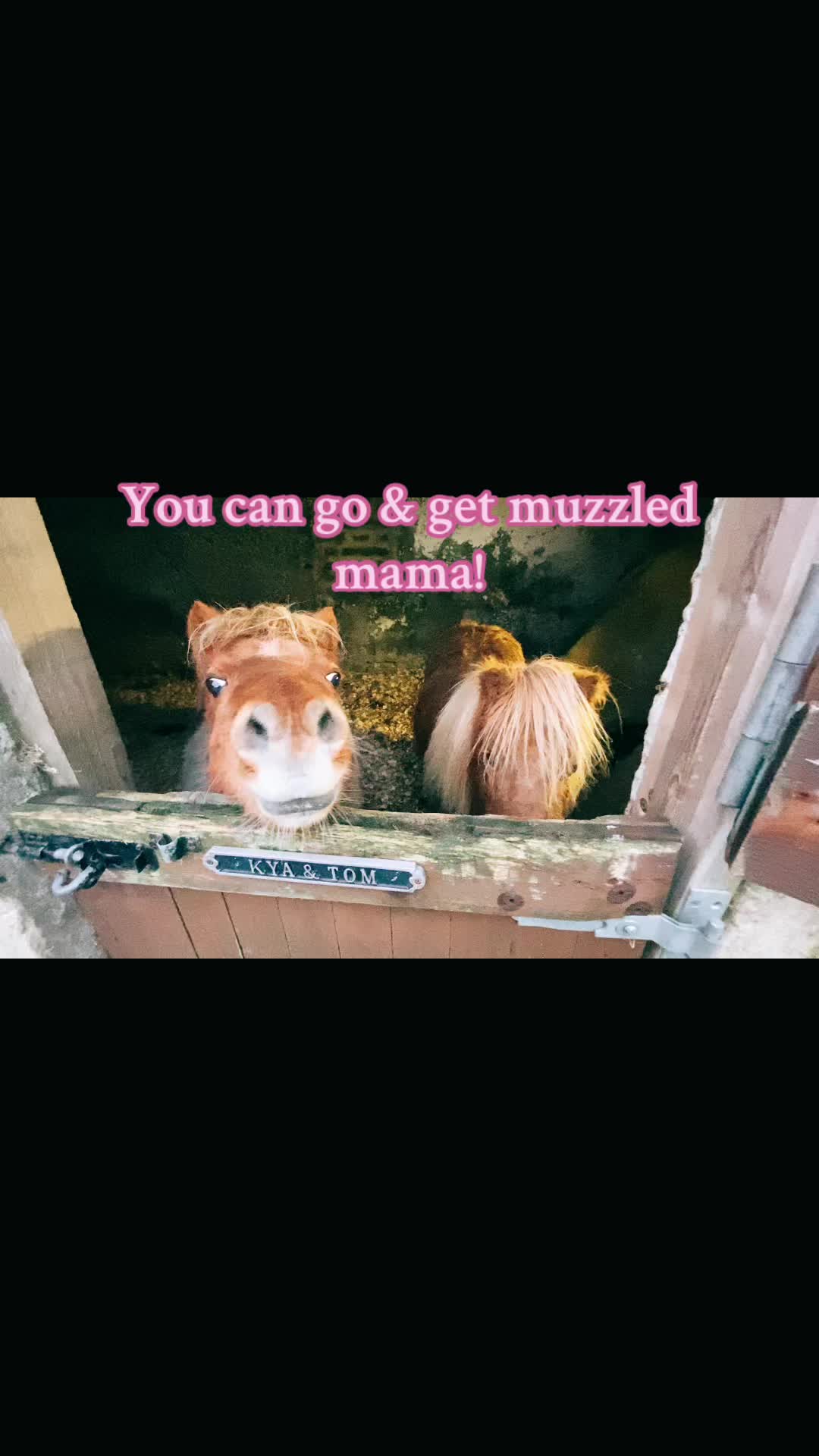 @michelleKya