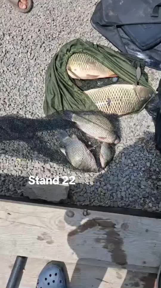 @Balta Turcoaia