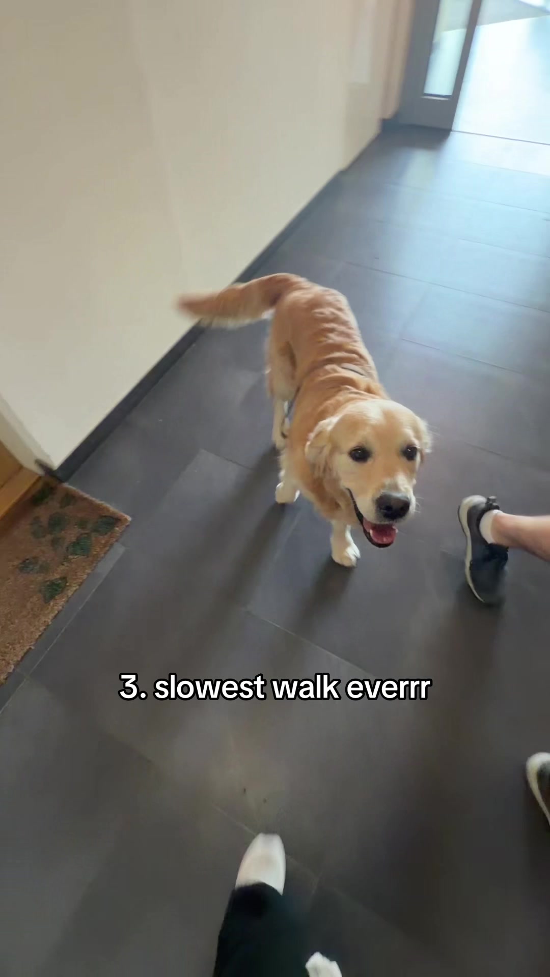 @Charlie and friends