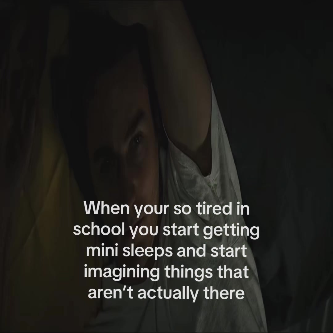 @🕷️🕸️