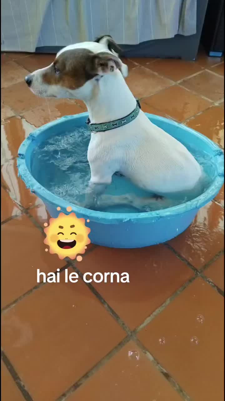 @Elena Marra