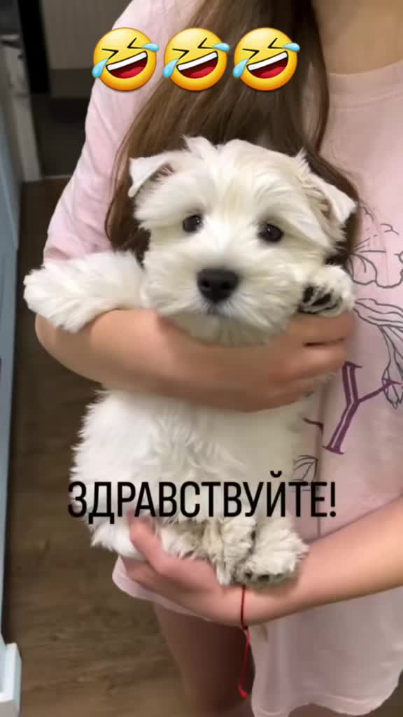 @🇬🇷🐳НАТАЛИ🔥🇷🇺