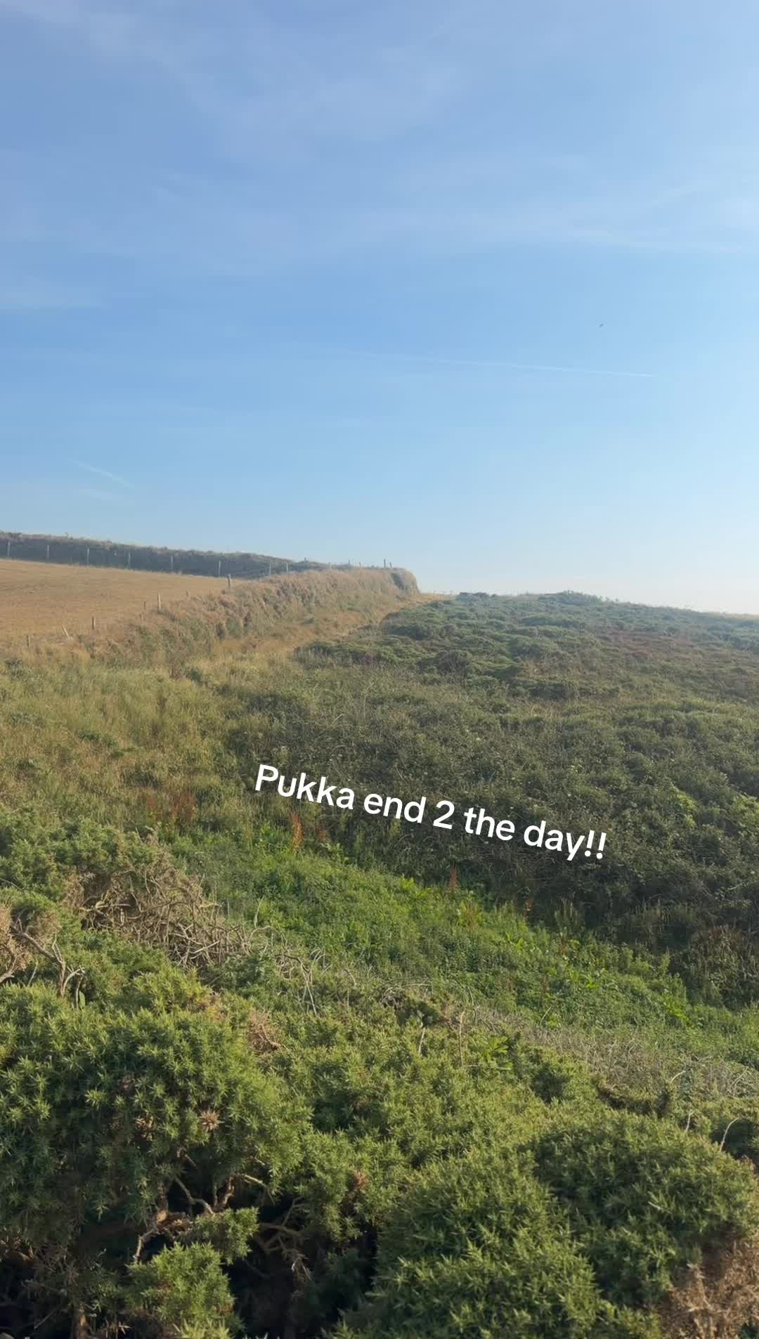 @Porterboii