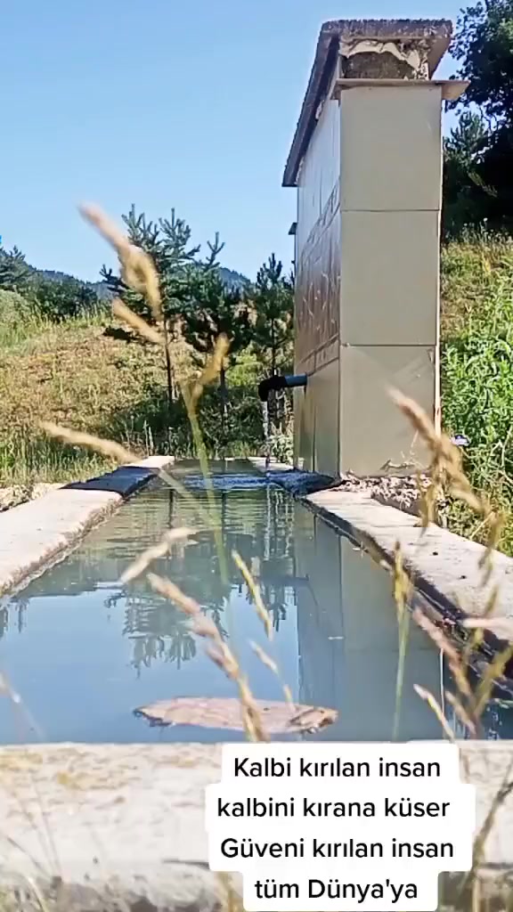 @Ercan &Ccedil;alışkan