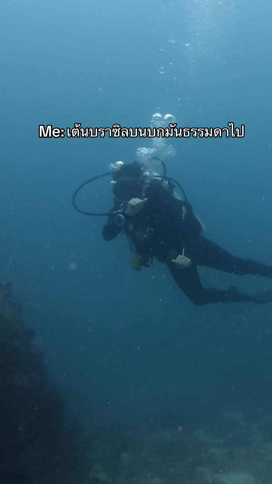 @ณิชชึคุง