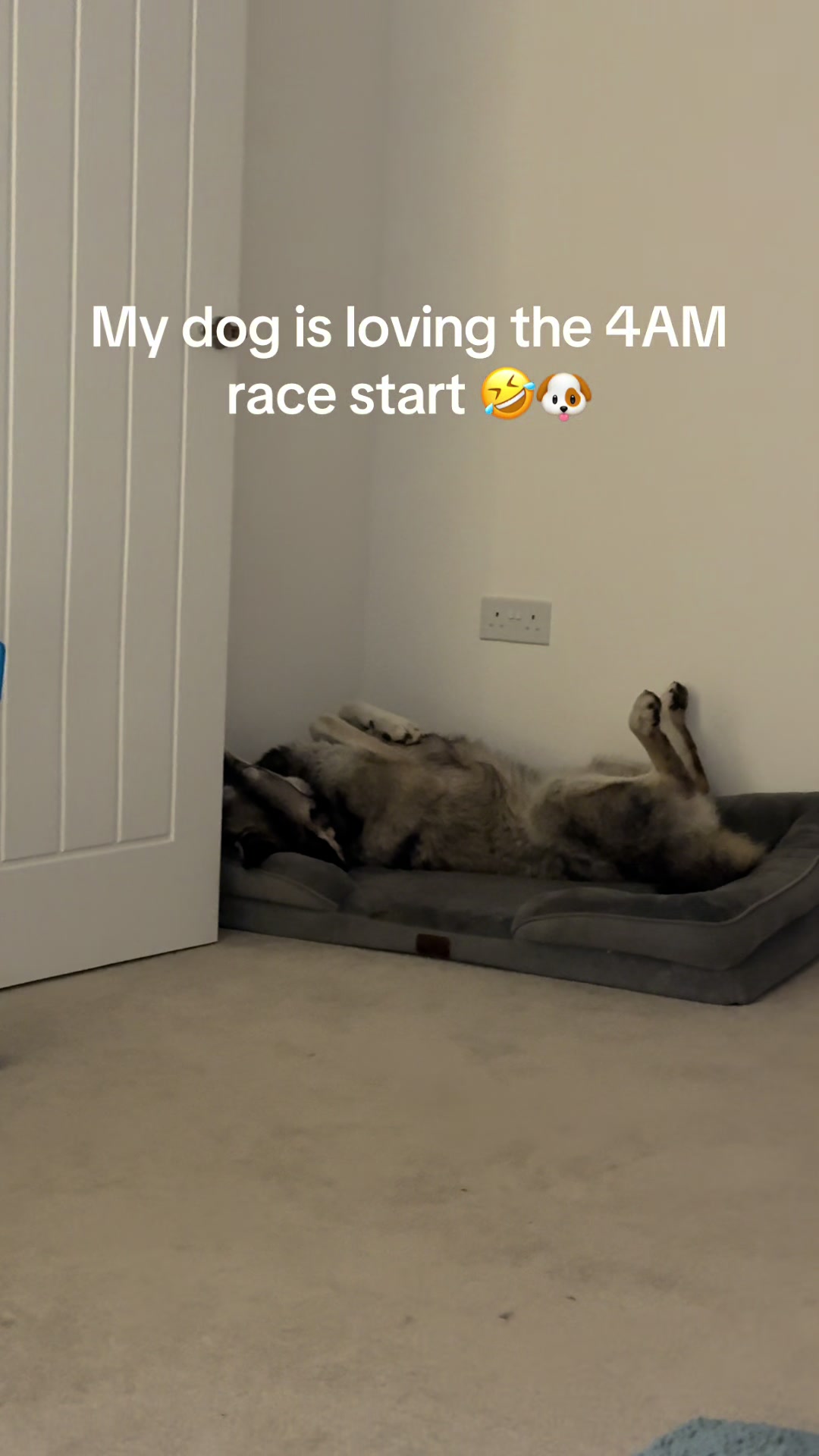 @lukejameschats