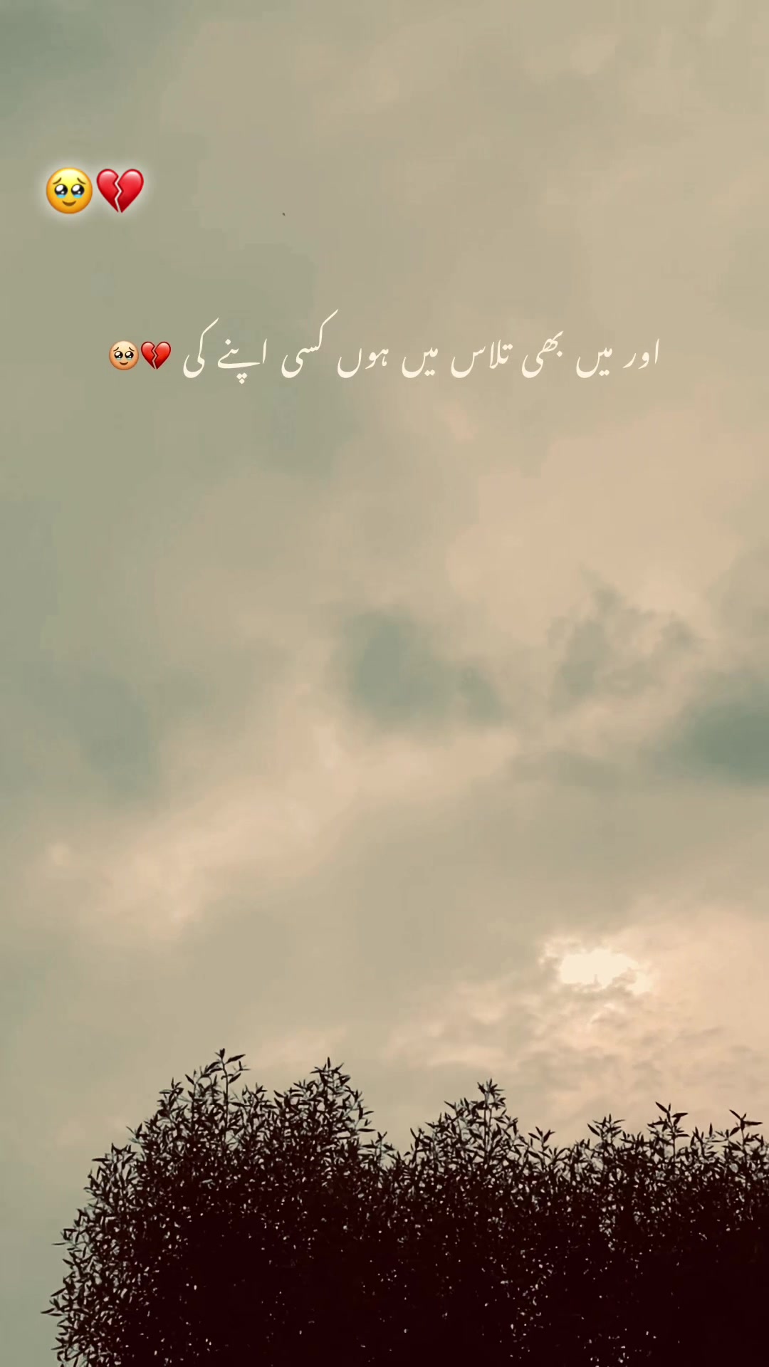 @ch.usمan.471🍁