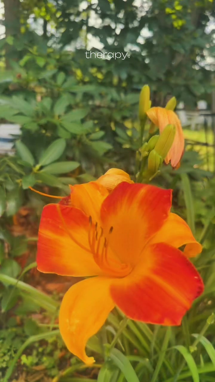 @regrownature