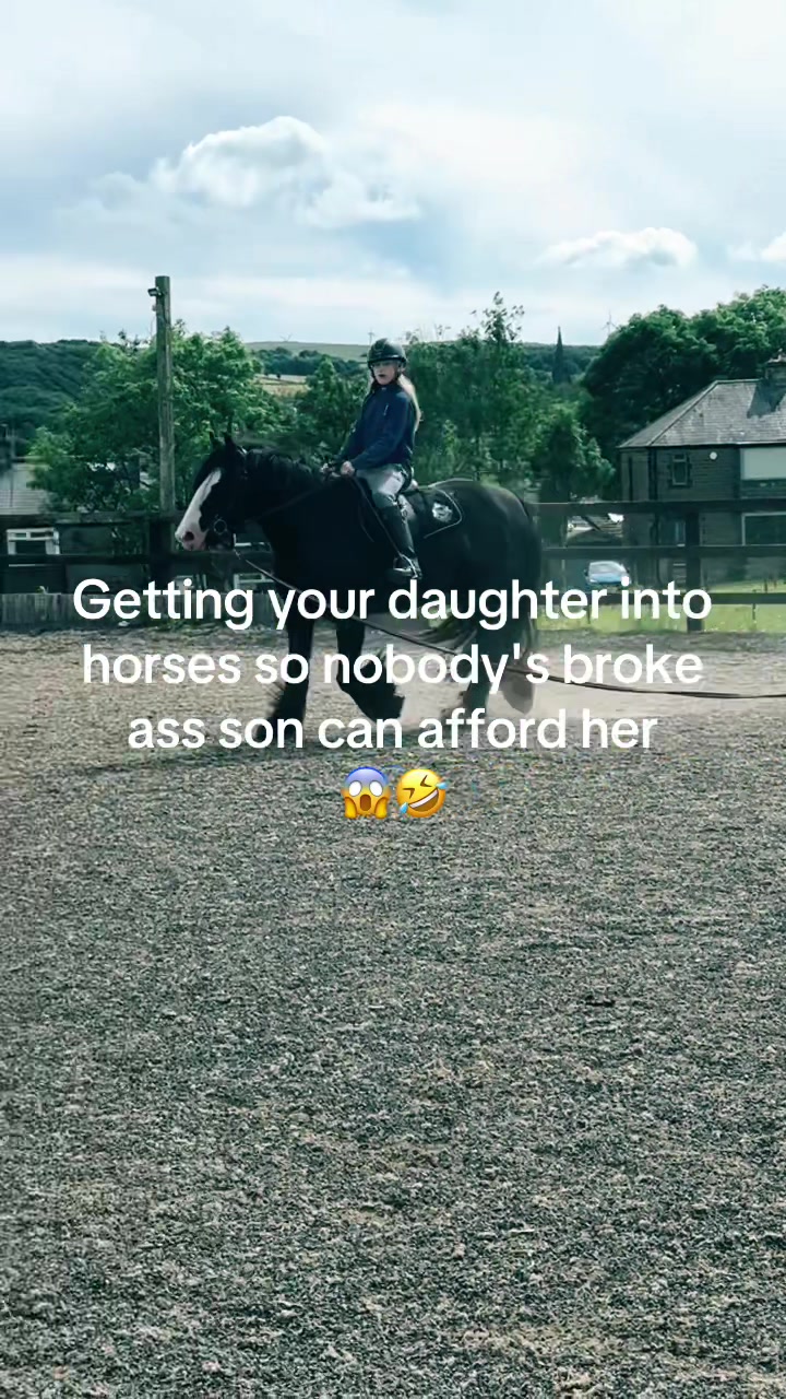 @equinoxk9connections