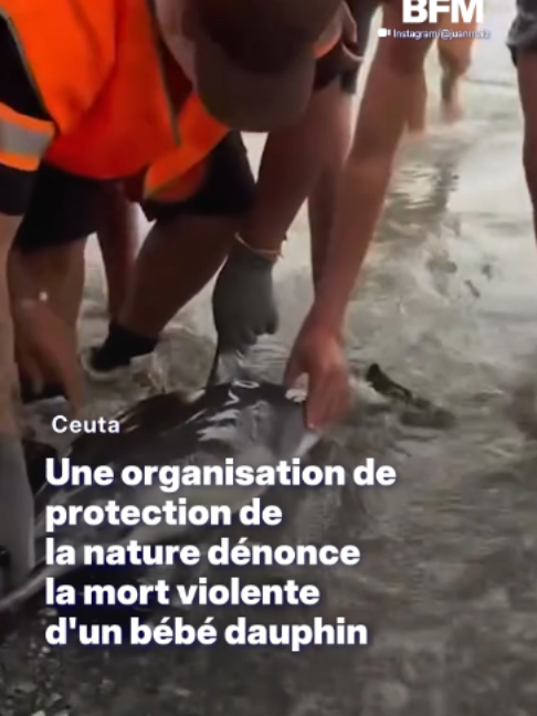 @BFMTV