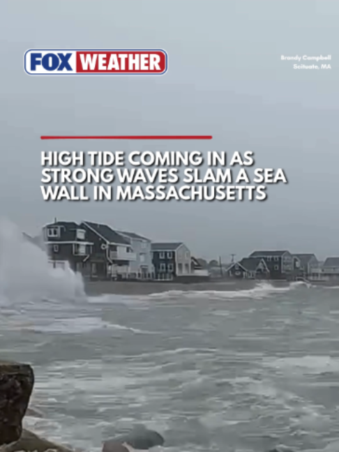 @FOX Weather