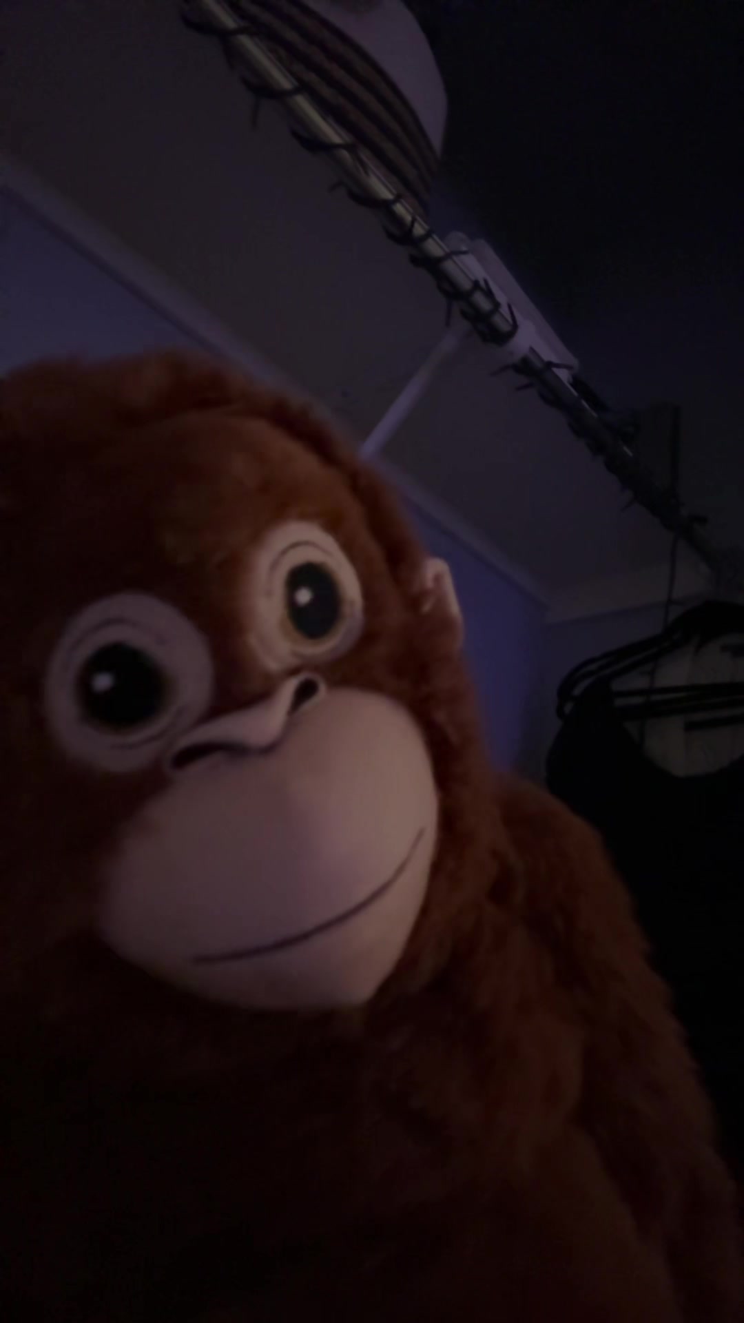 @Ziggy 🐵