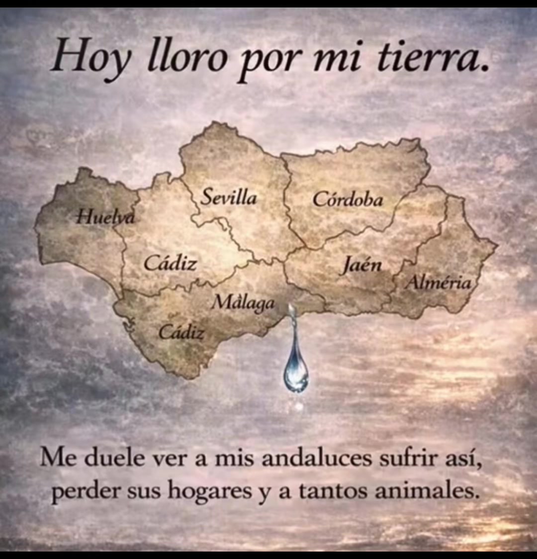 @angel_jimenez.a