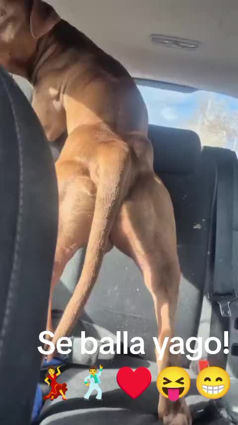 @simo1980