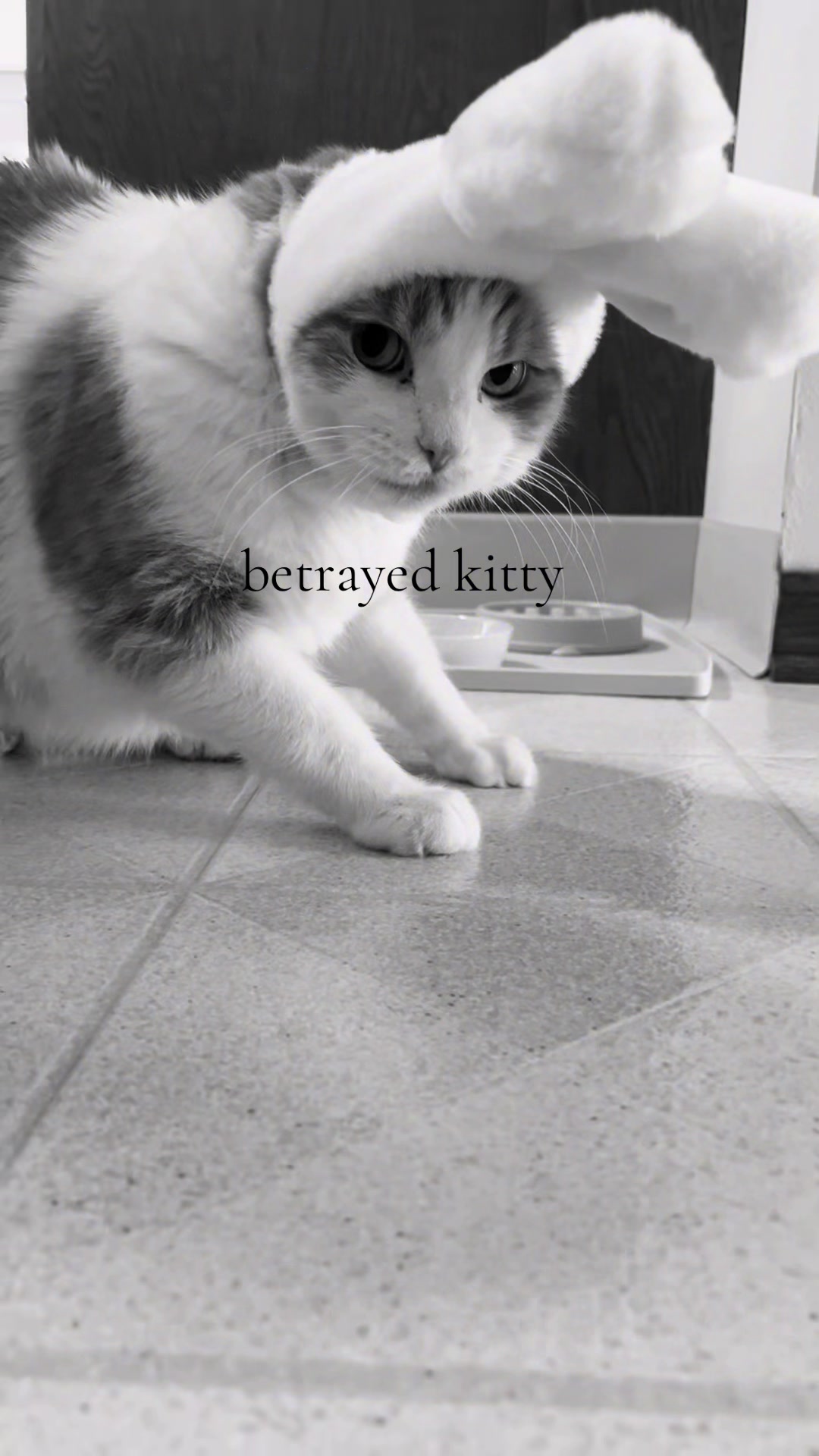 @:/