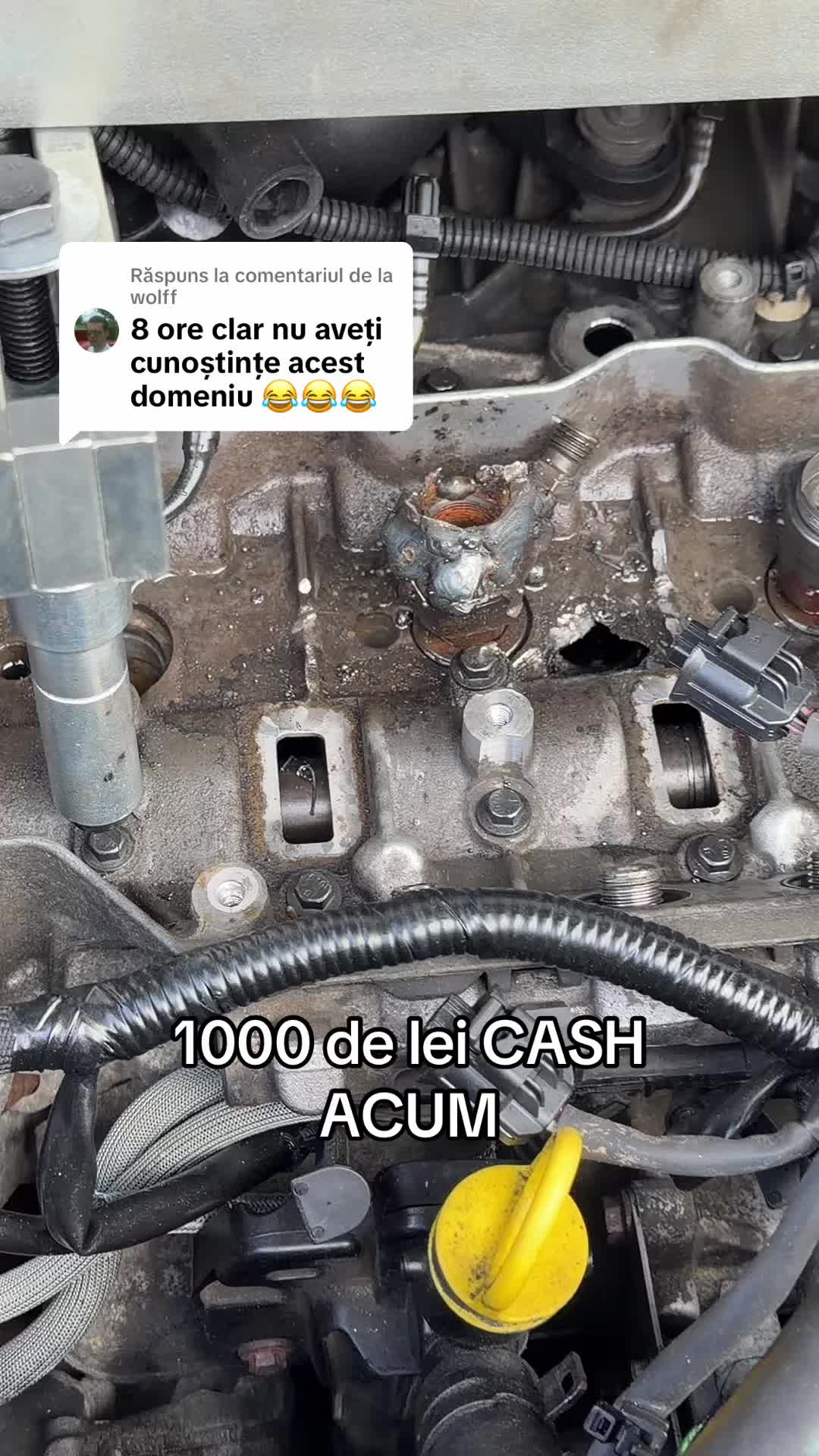 @Turbo Doctor