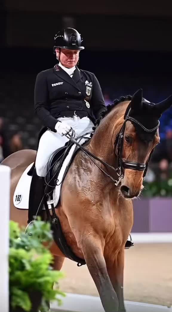 @horse_edits