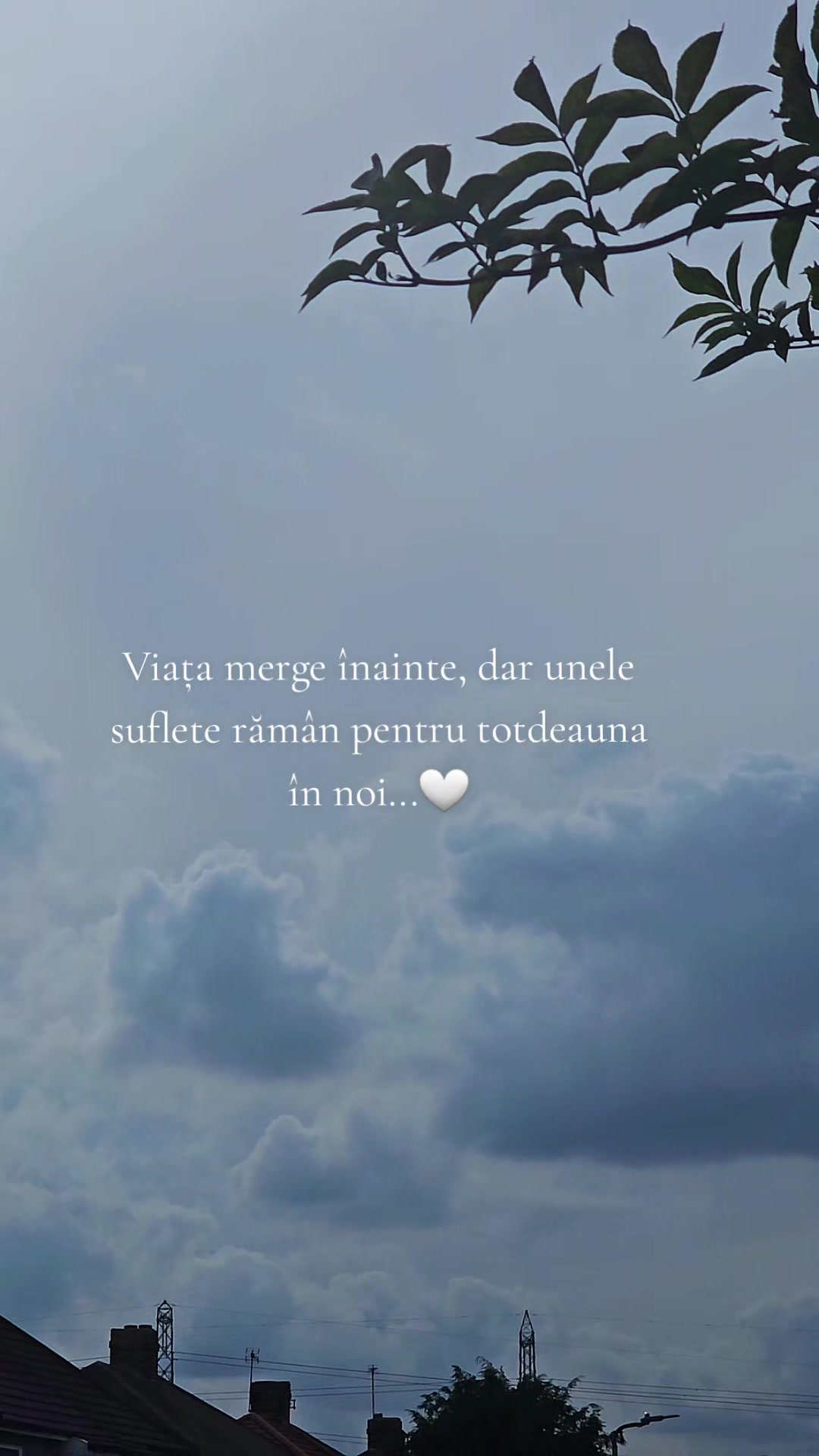 @♡ Gânduri care rămân ♡