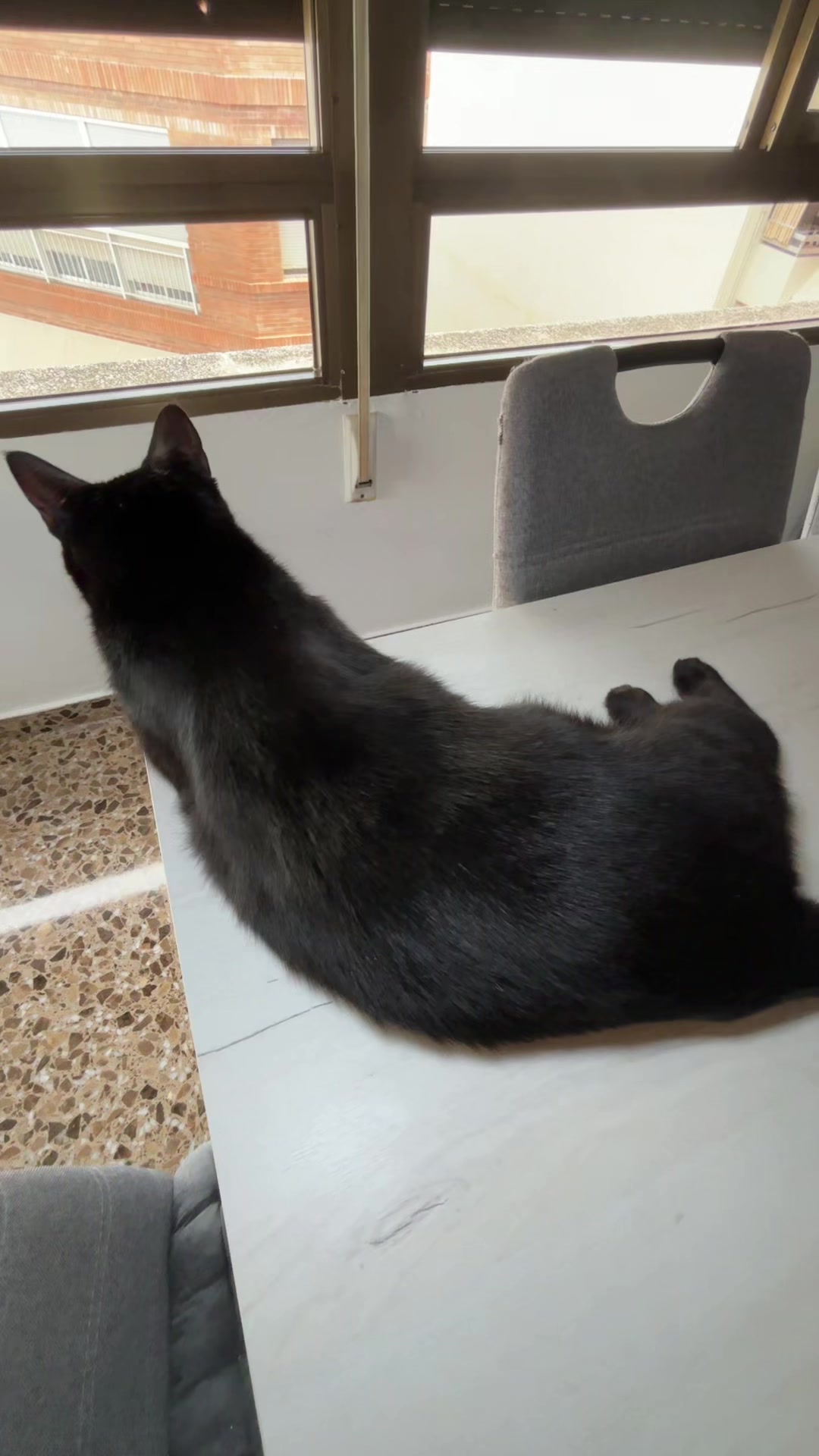 @BlackCatsMatter