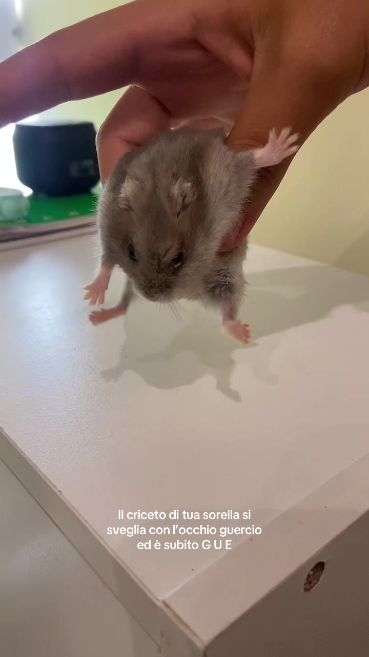 @Sara.cassini__