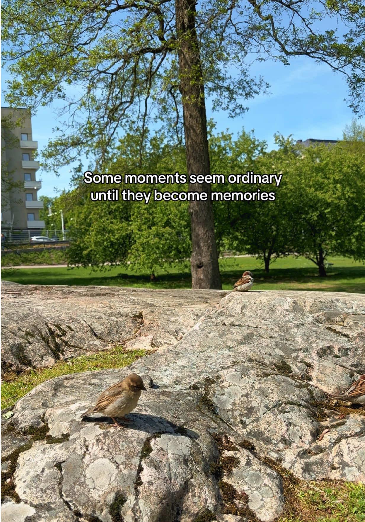 @Finland🇫🇮