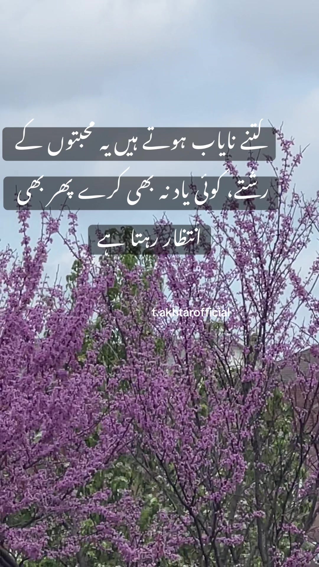 @T.Akhtar Official