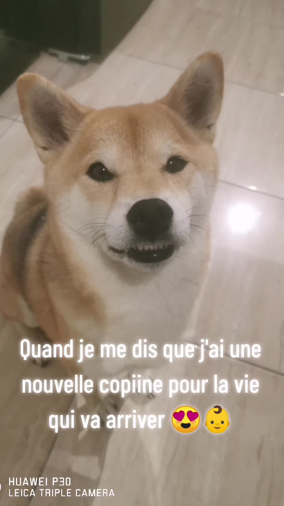@Alyson Lyli Balmelle