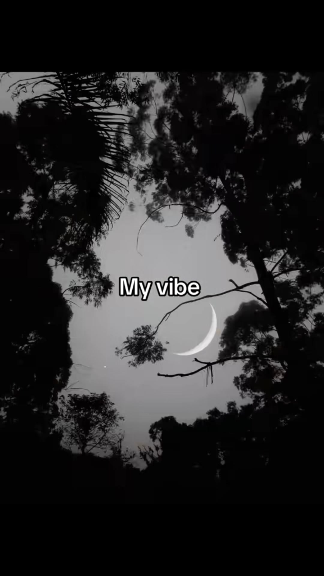 @myimmortal