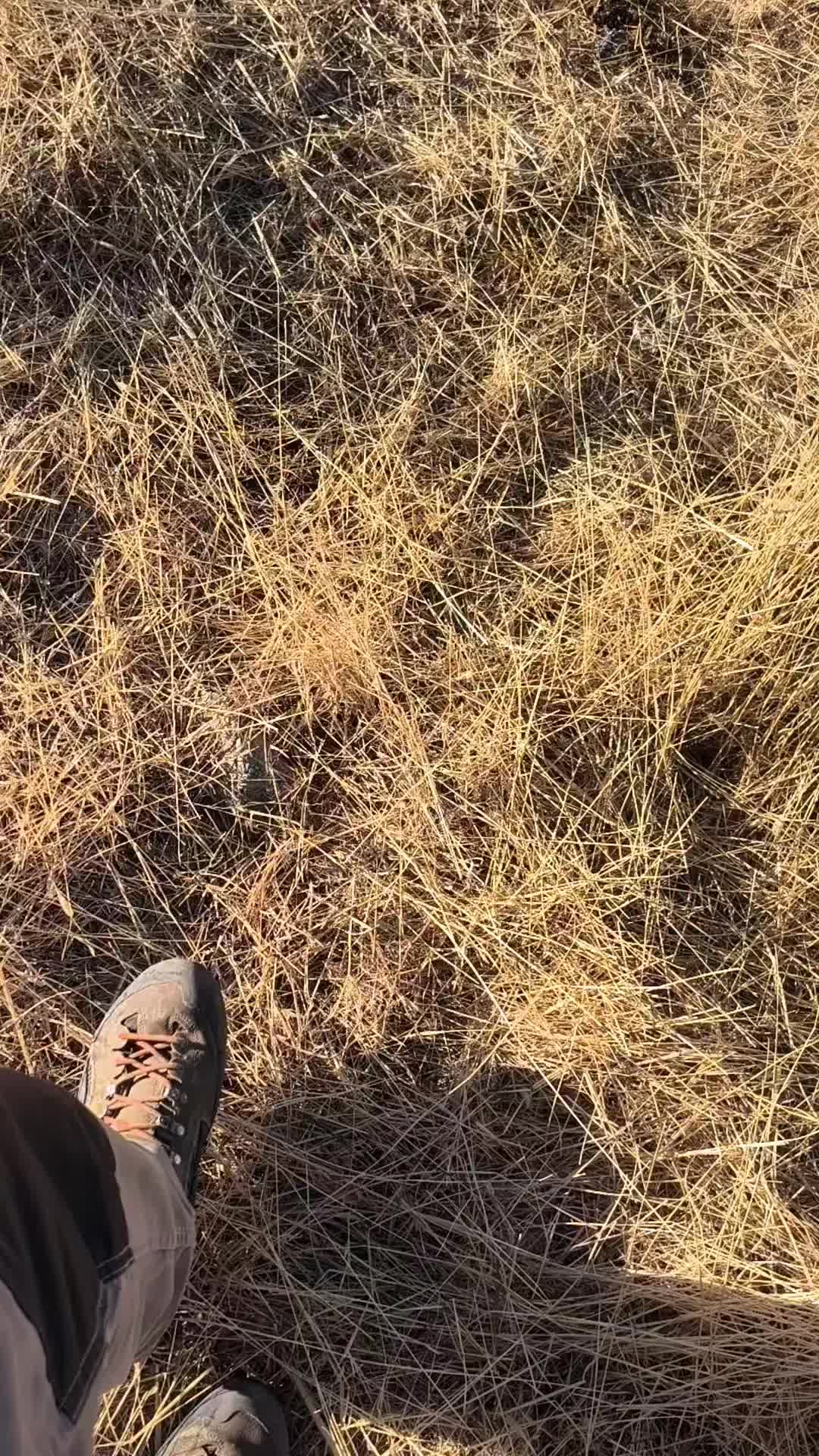 @juan.AKAB.ElCabrero