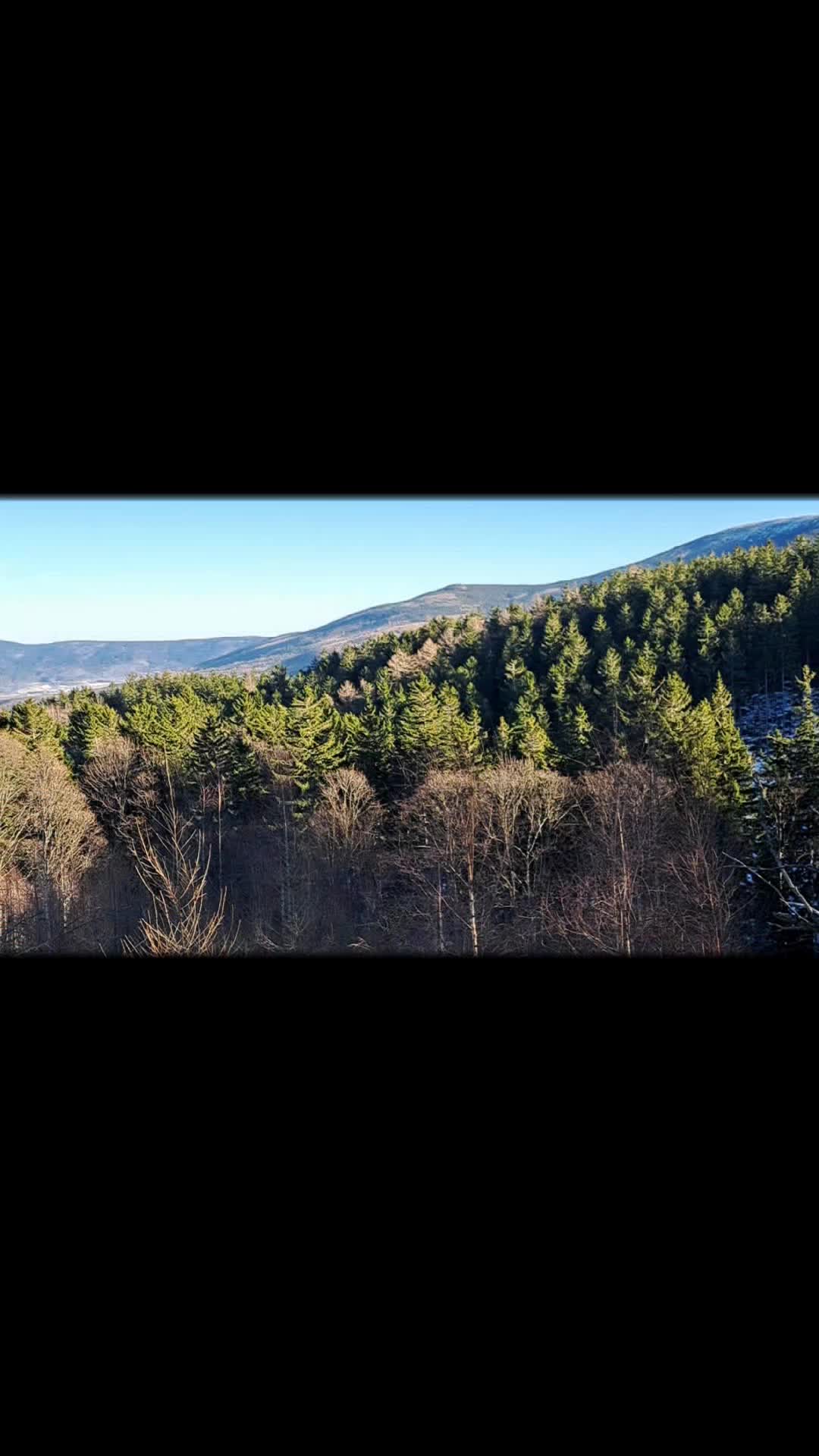 @Gosia Przybylska Ciebień