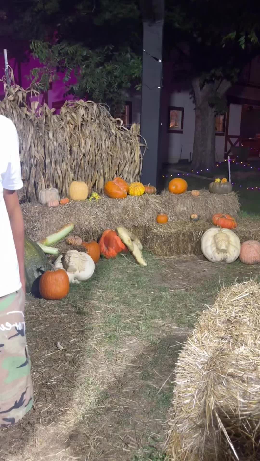 @jayshawnn