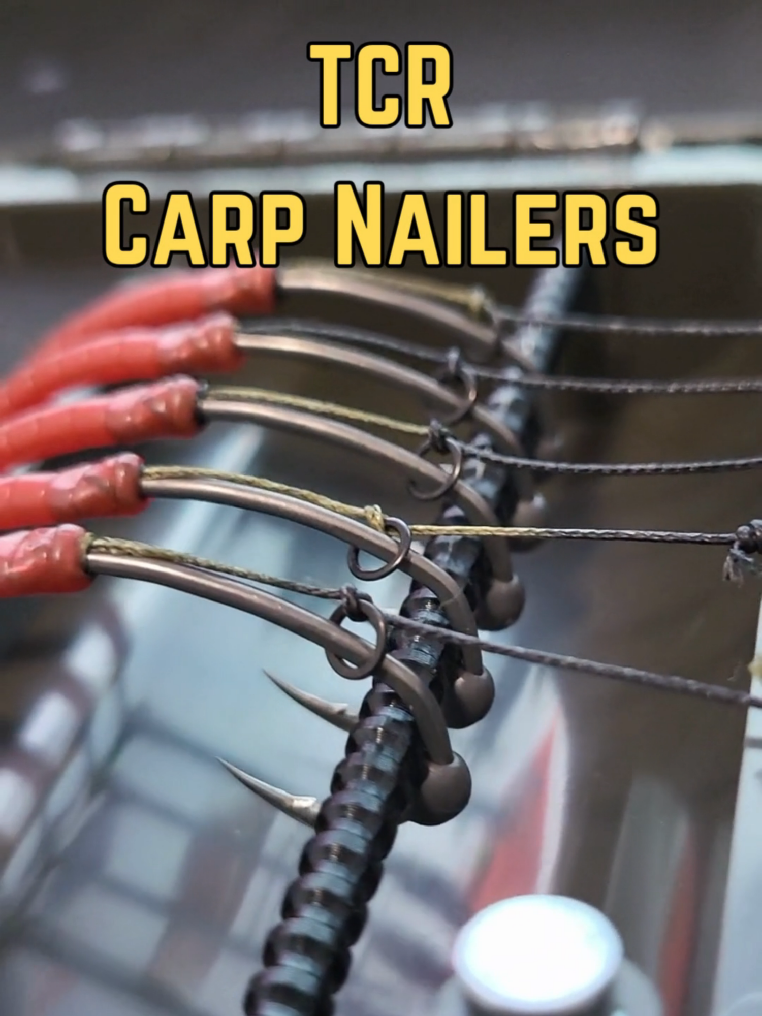 @Thats Carpy Rigs