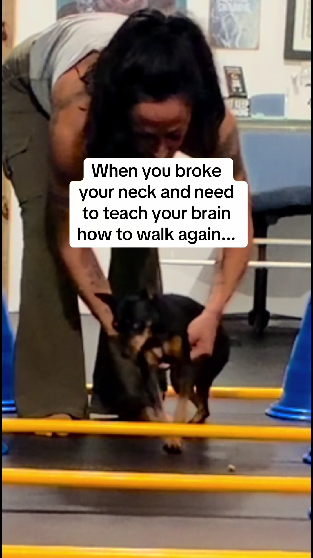@dogmom76