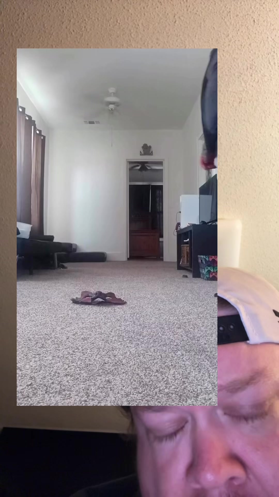 @frenchtoastpapi